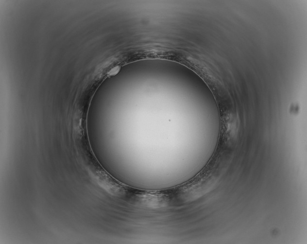 X0000097510615200802221508