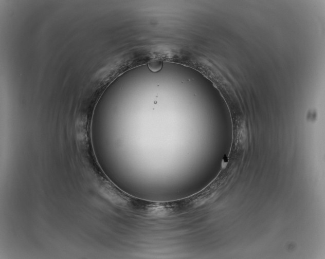 X0000097510616200802221508