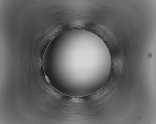X0000097510617200802221508