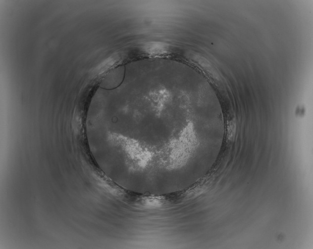 X0000097510618200802221508