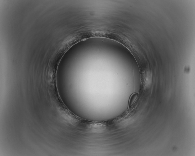 X0000097510619200802221508