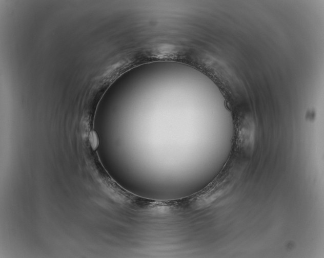 X0000097510620200802221508