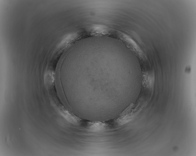 X0000097510621200802221508