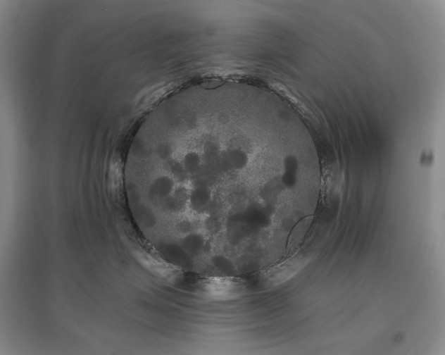 X0000097510623200802221508