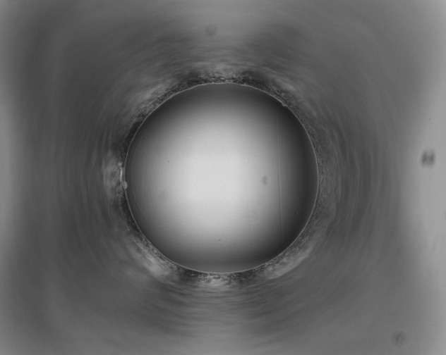X0000097510624200802221508