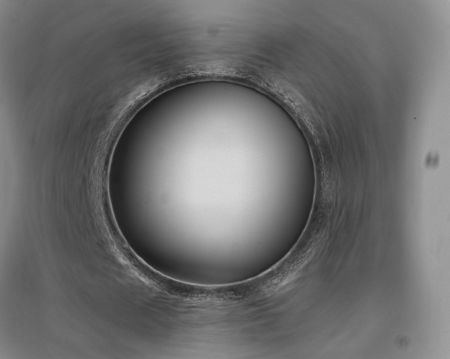 X0000097510625200802221507