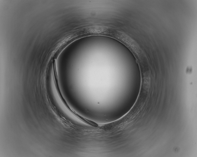 X0000097510626200802221507