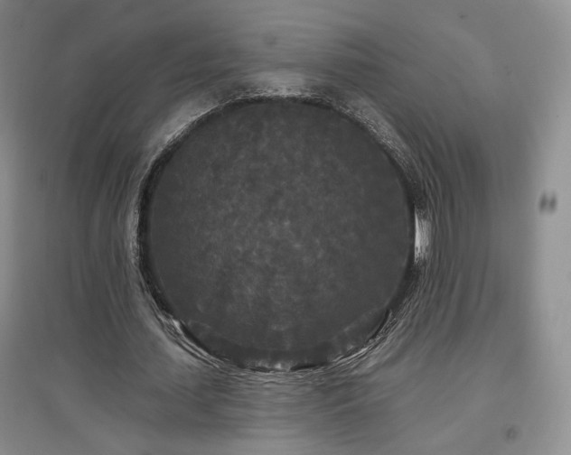 X0000097510627200802221507