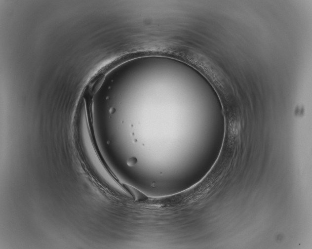 X0000097510628200802221507