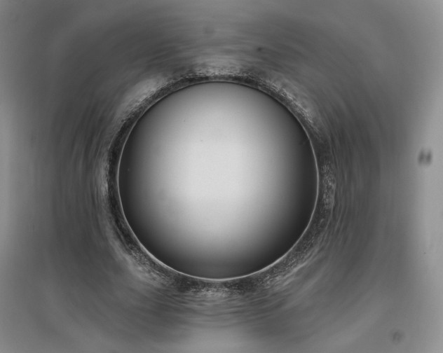 X0000097510631200802221507