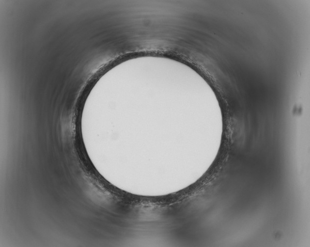 X0000097510632200802221507