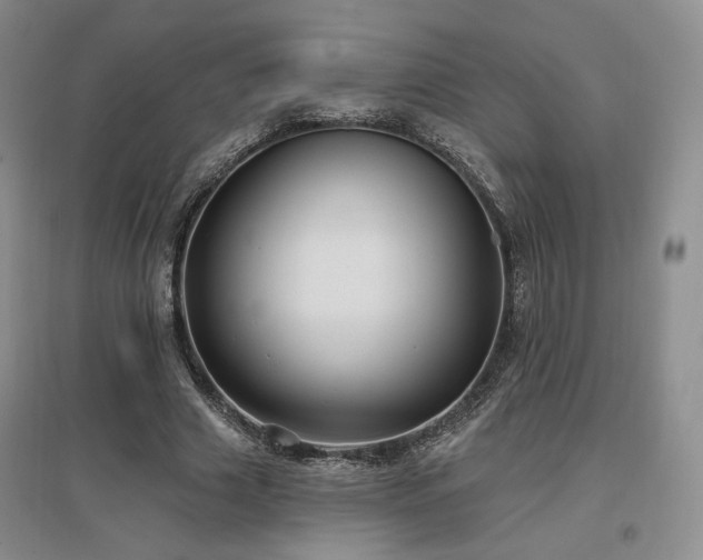 X0000097510633200802221507