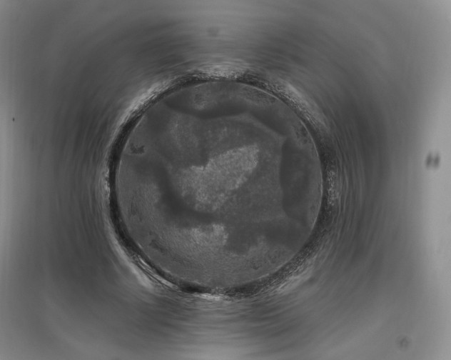 X0000097510634200802221507
