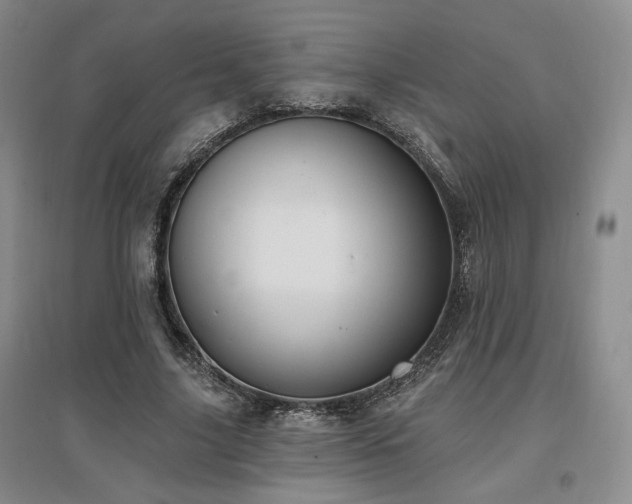 X0000097510635200802221507