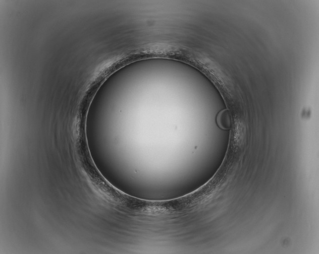 X0000097510636200802221507