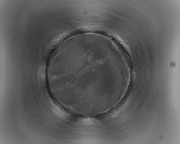 X0000097510637200802221507