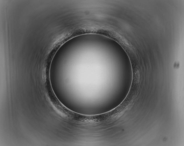 X0000097510638200802221507