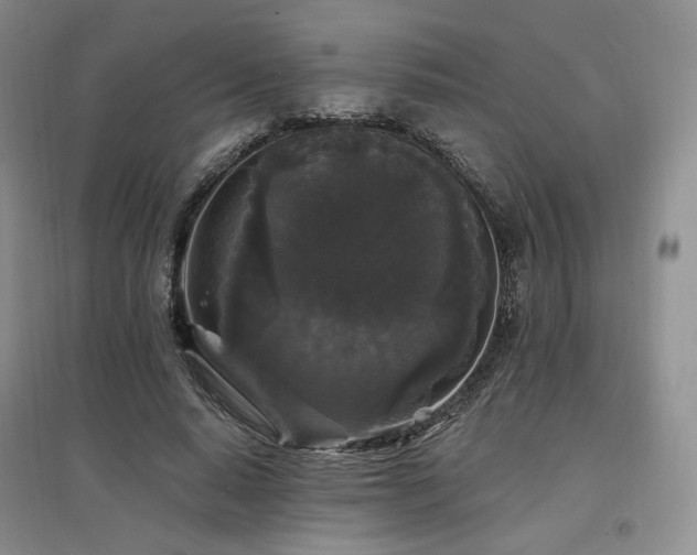 X0000097510640200802221508