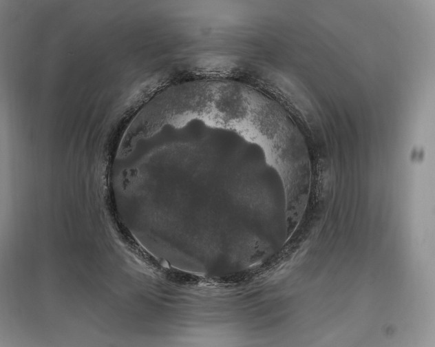 X0000097510641200802221508