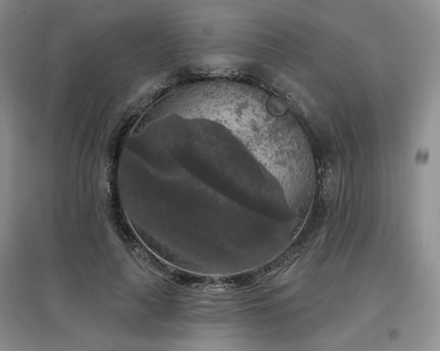 X0000097510643200802221508