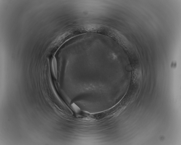 X0000097510644200802221508