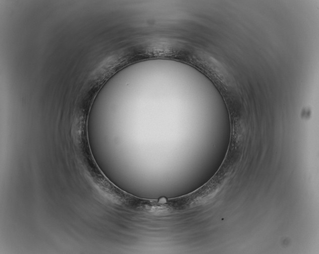 X0000097510645200802221508