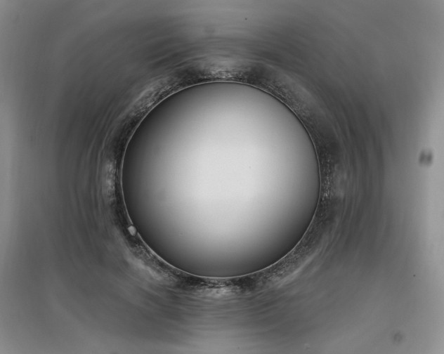 X0000097510646200802221508