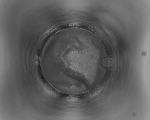 X0000097510648200802221508