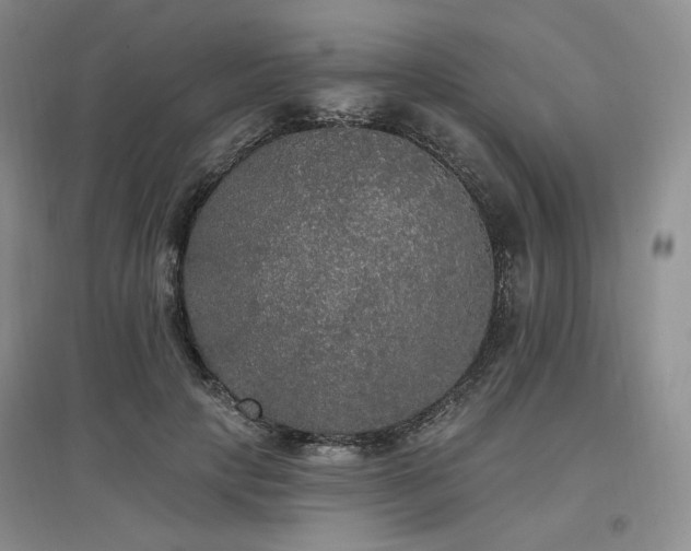 X0000097510649200802221508