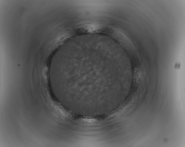 X0000097510650200802221508
