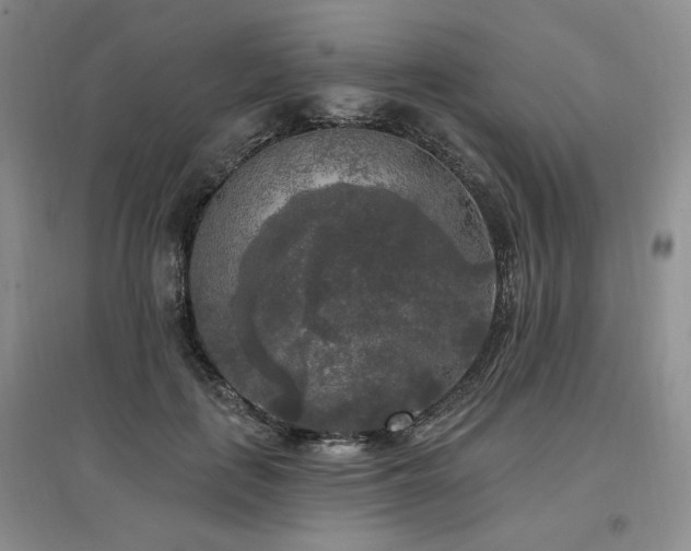X0000097510651200802221508