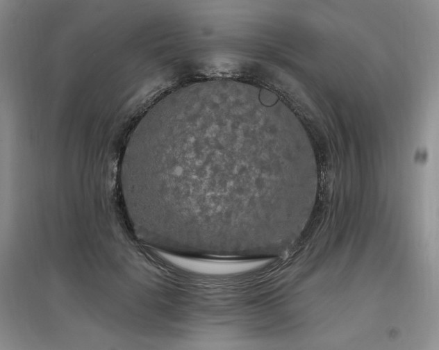 X0000097510652200802221508