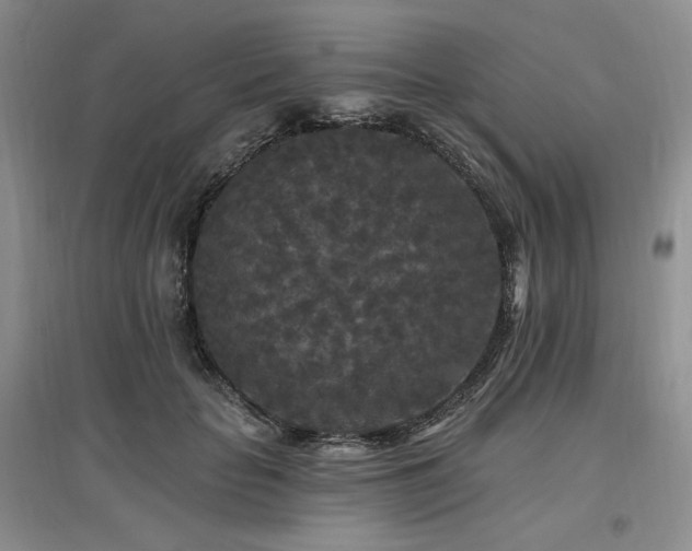 X0000097510653200802221508