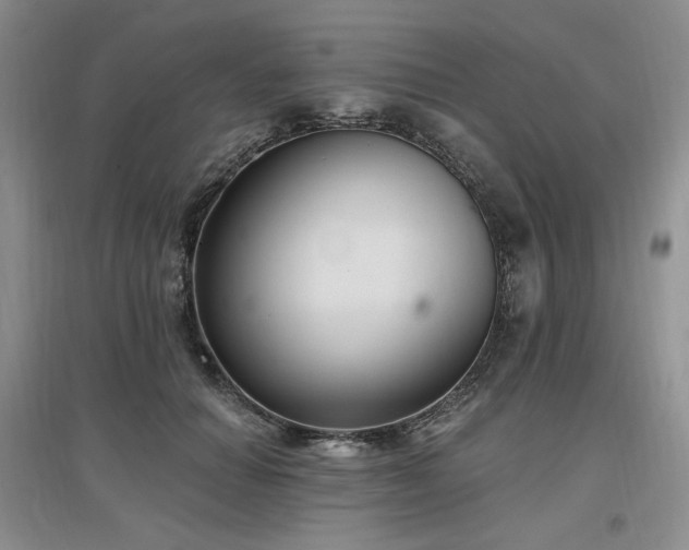 X0000097510654200802221508