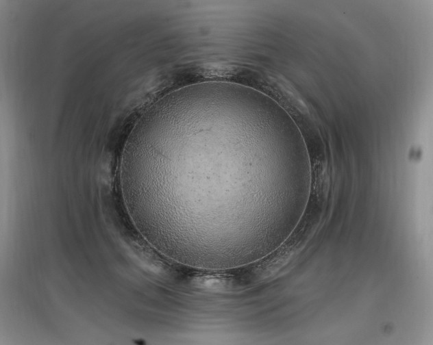 X0000097510655200802221508