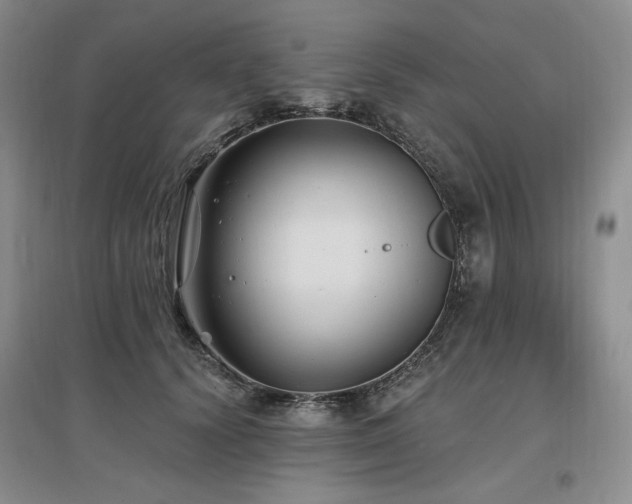 X0000097510656200802221508