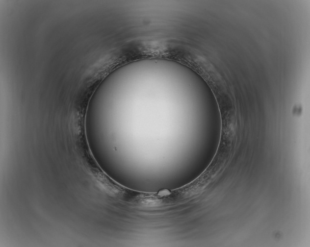 X0000097510658200802221508