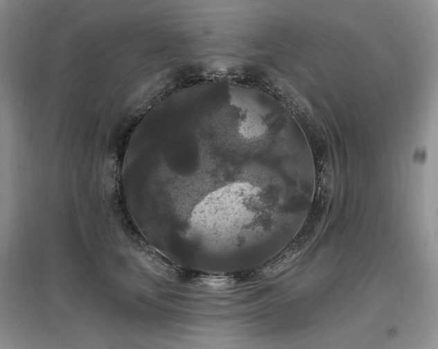 X0000097510659200802221508