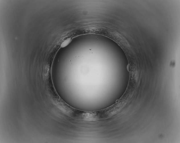 X0000097510660200802221508