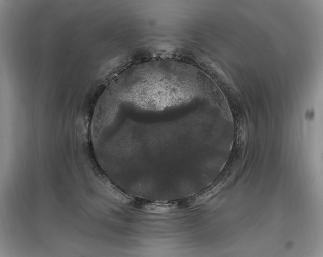 X0000097510661200802221508