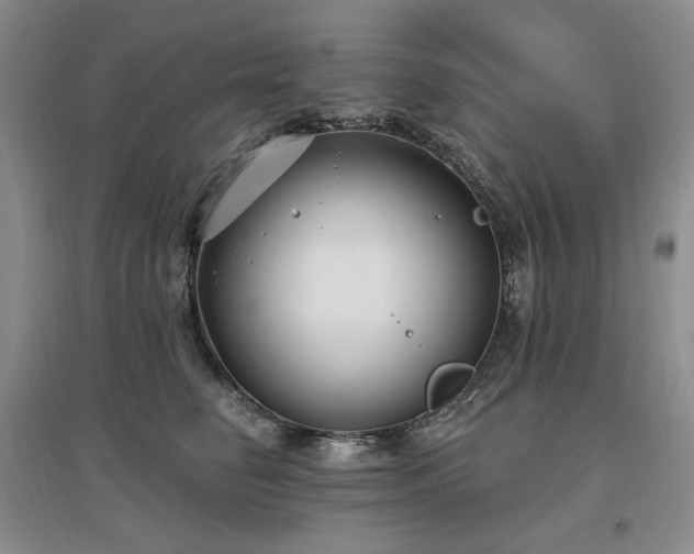 X0000097510662200802221508