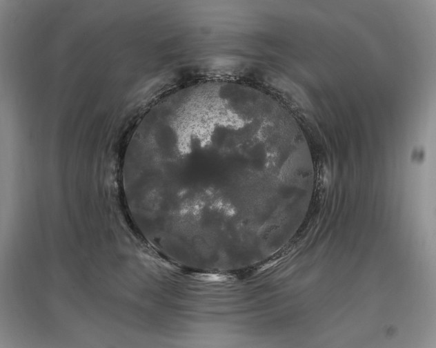 X0000097510663200802221508