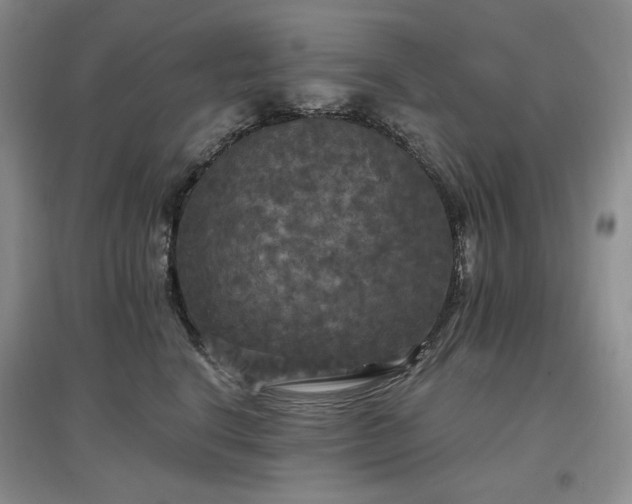 X0000097510664200802221508