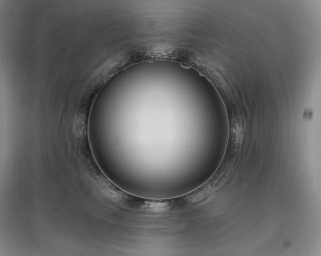 X0000097510665200802221508