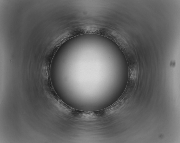 X0000097510666200802221508