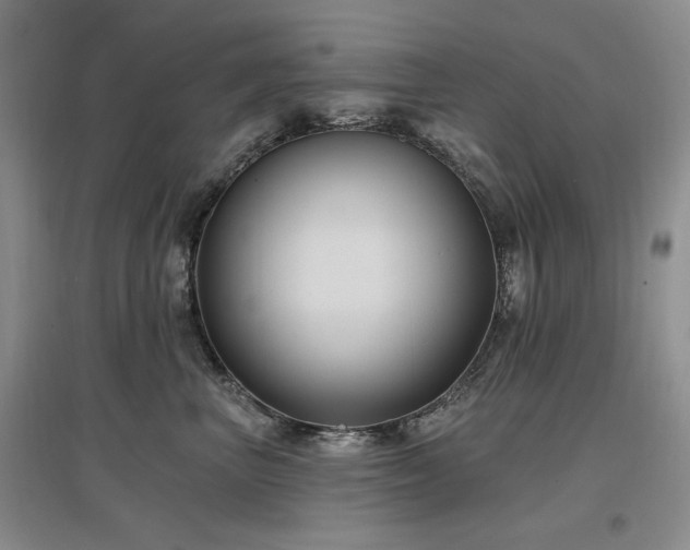 X0000097510667200802221508