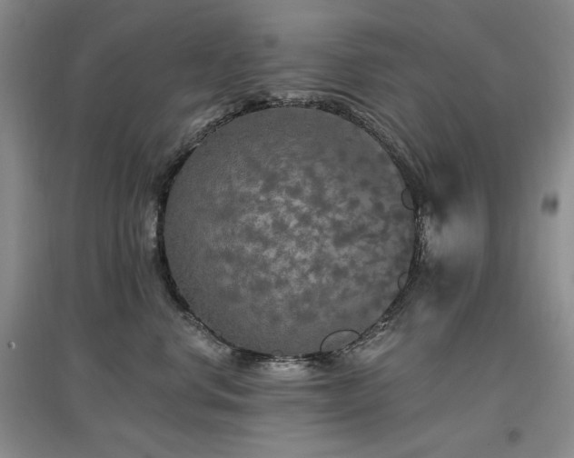 X0000097510668200802221508