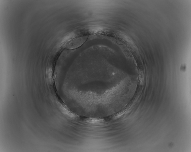 X0000097510670200802221508