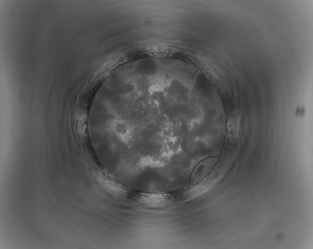 X0000097510671200802221508