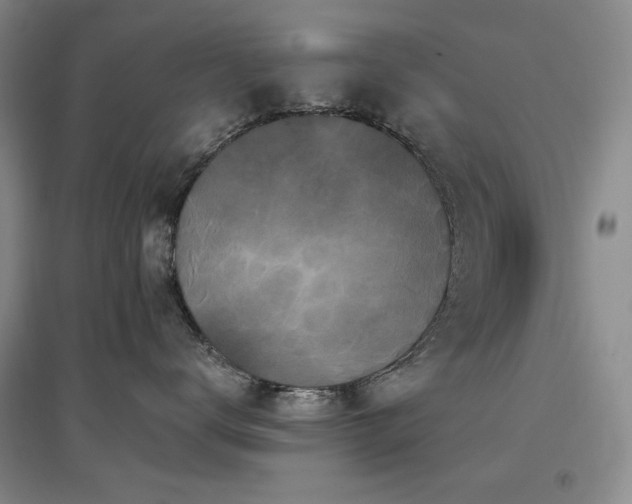 X0000097510672200802221508